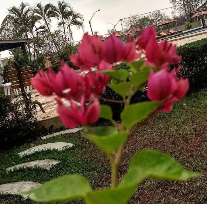 Pousada Recanto Dos Passaros Balsas Kültér fotó